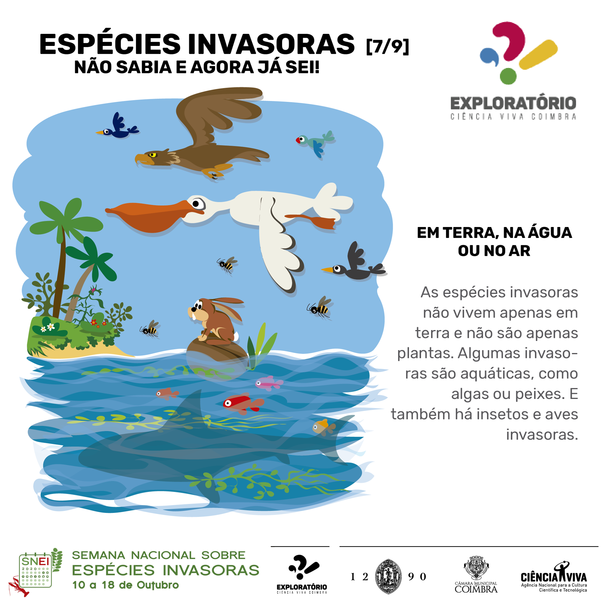 Espécies Invasoras – o que não sabia e agora já sei! | Plantas ...